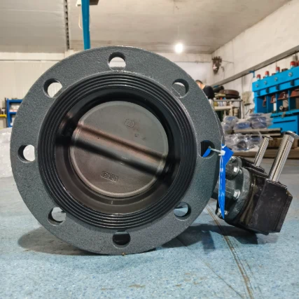 Butterfly Valve Double Flange Type